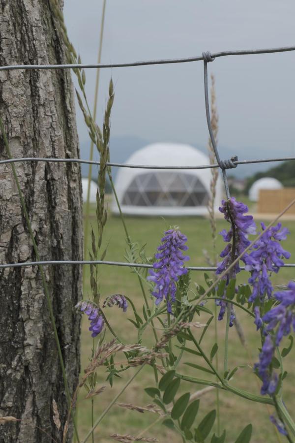 Glamping Resort Dolny Kamenec Экстерьер фото